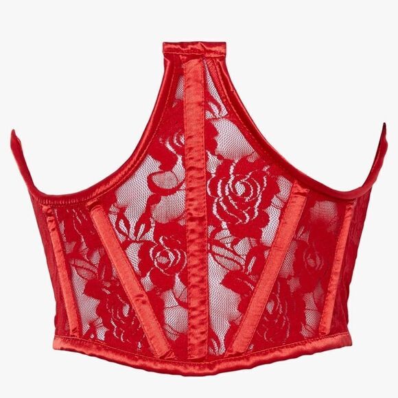 NWT Daisy corsets Lavish Red Sheer Lace Underwire Waist Cincher Corset - Picture 2 of 15